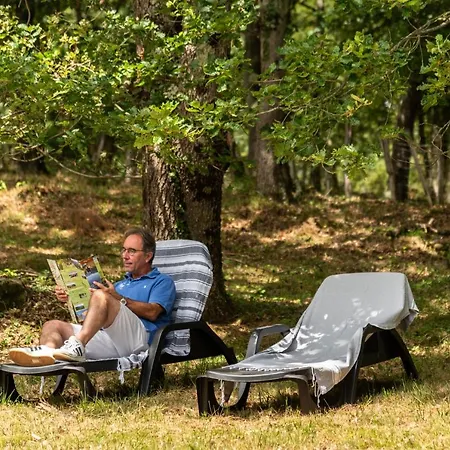Campsite La Serre Aigues-Vives (Ariege)